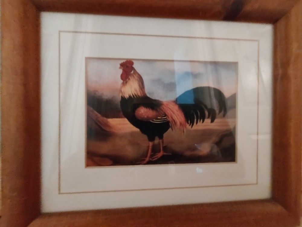 Rooster Picture With Frame