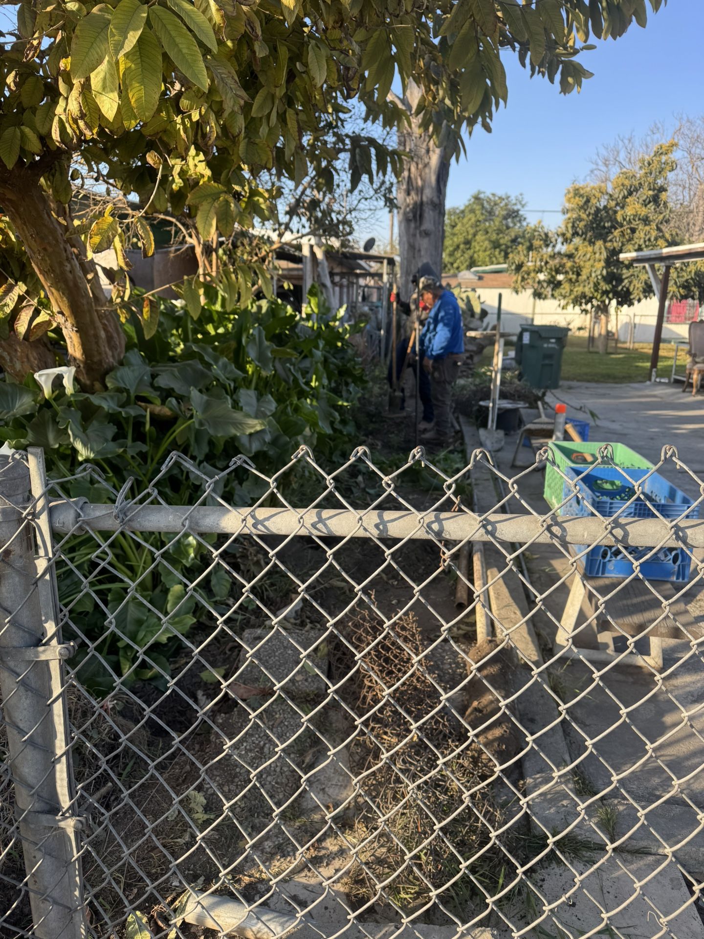 Fence