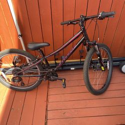 24 Wheel Specialized Hot Rock 