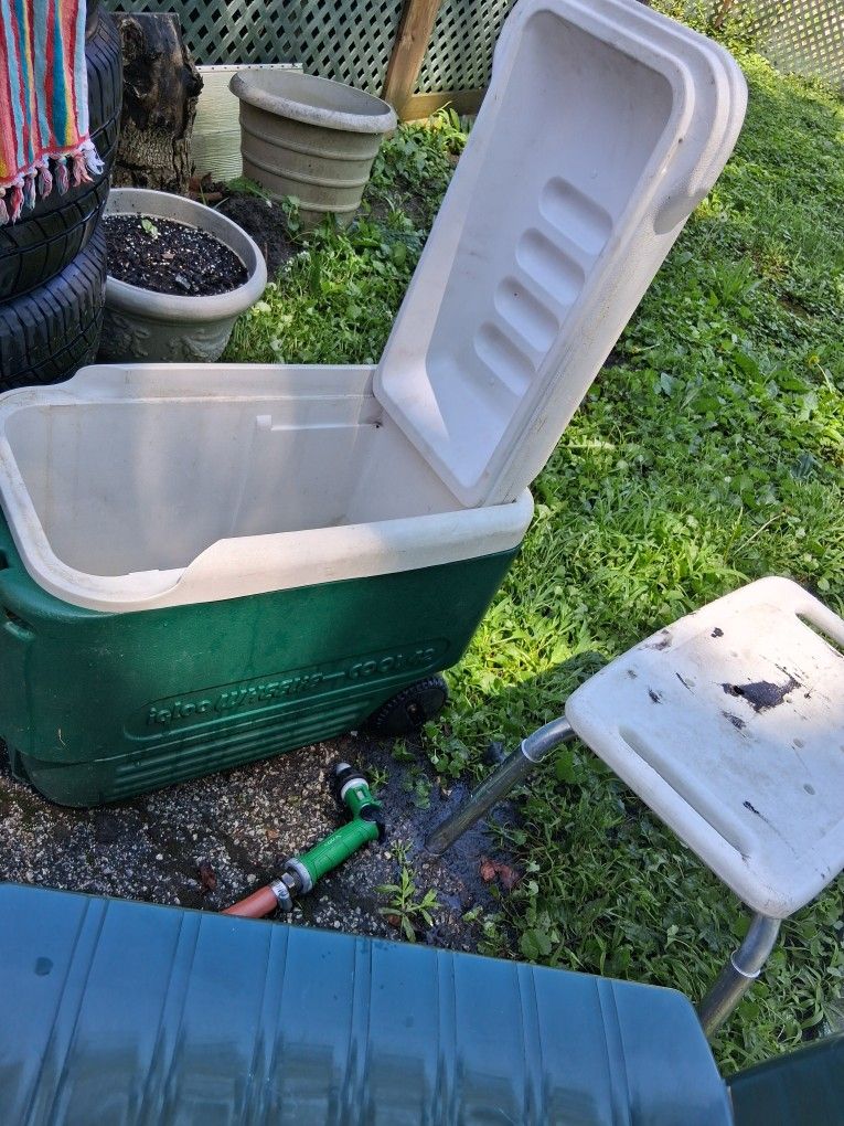 Cooler