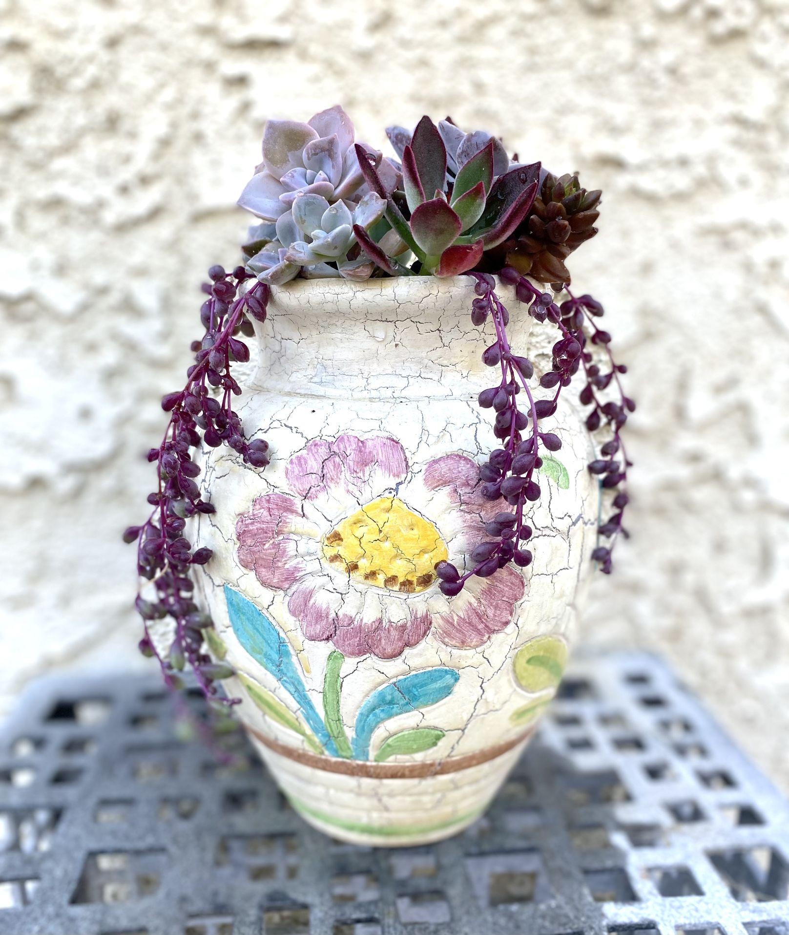 Beautiful Succulent Snake Plant Arrangement