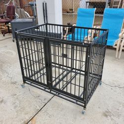 Dog Kennel 