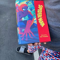 Spider-Man Fan?