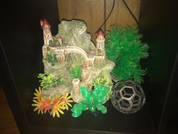 Fish Tank Decorations For Sale In Charlotte Nc Offerup