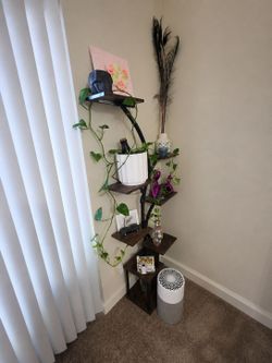 Plant Shelves