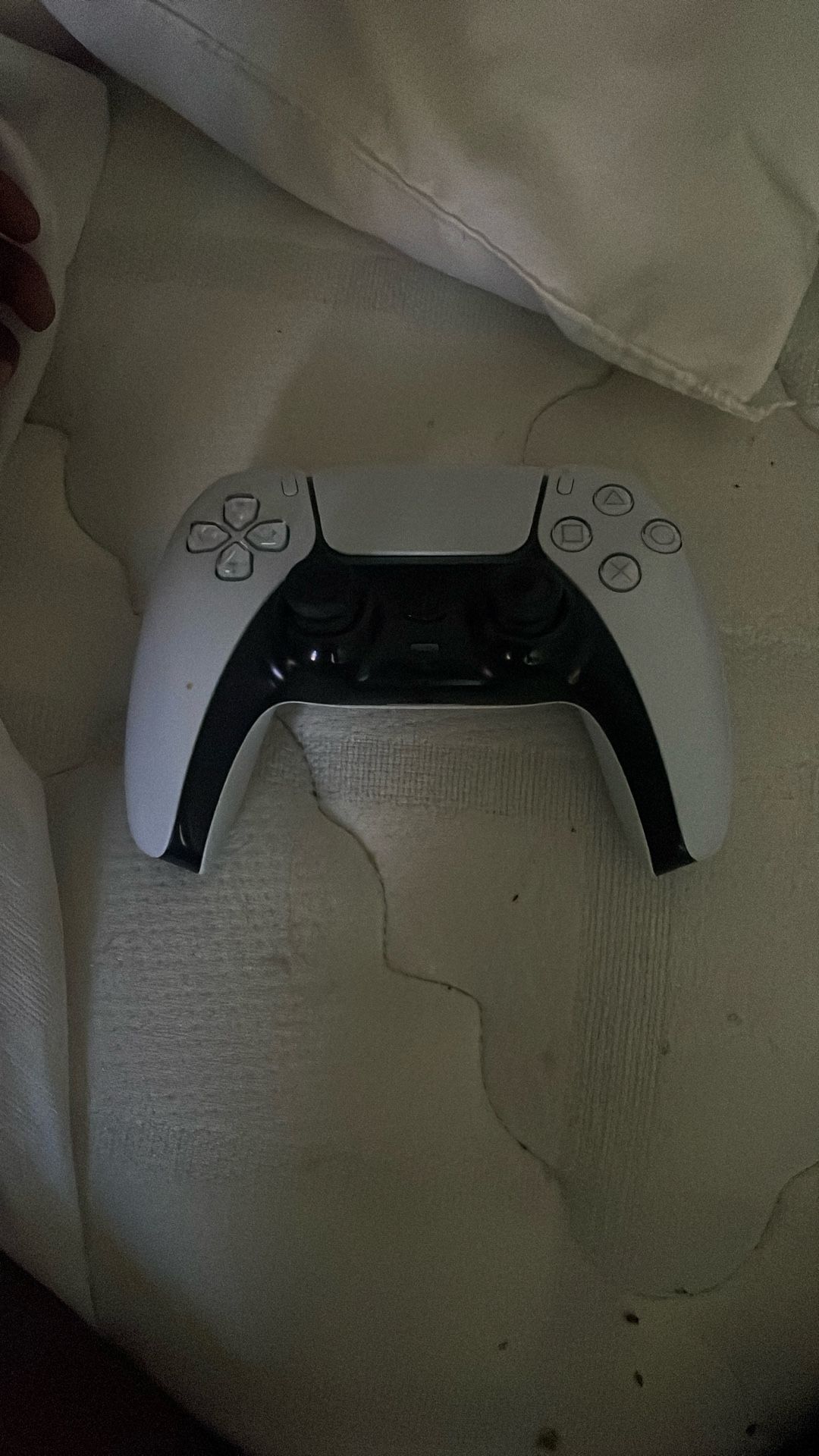 Ps5 Controller
