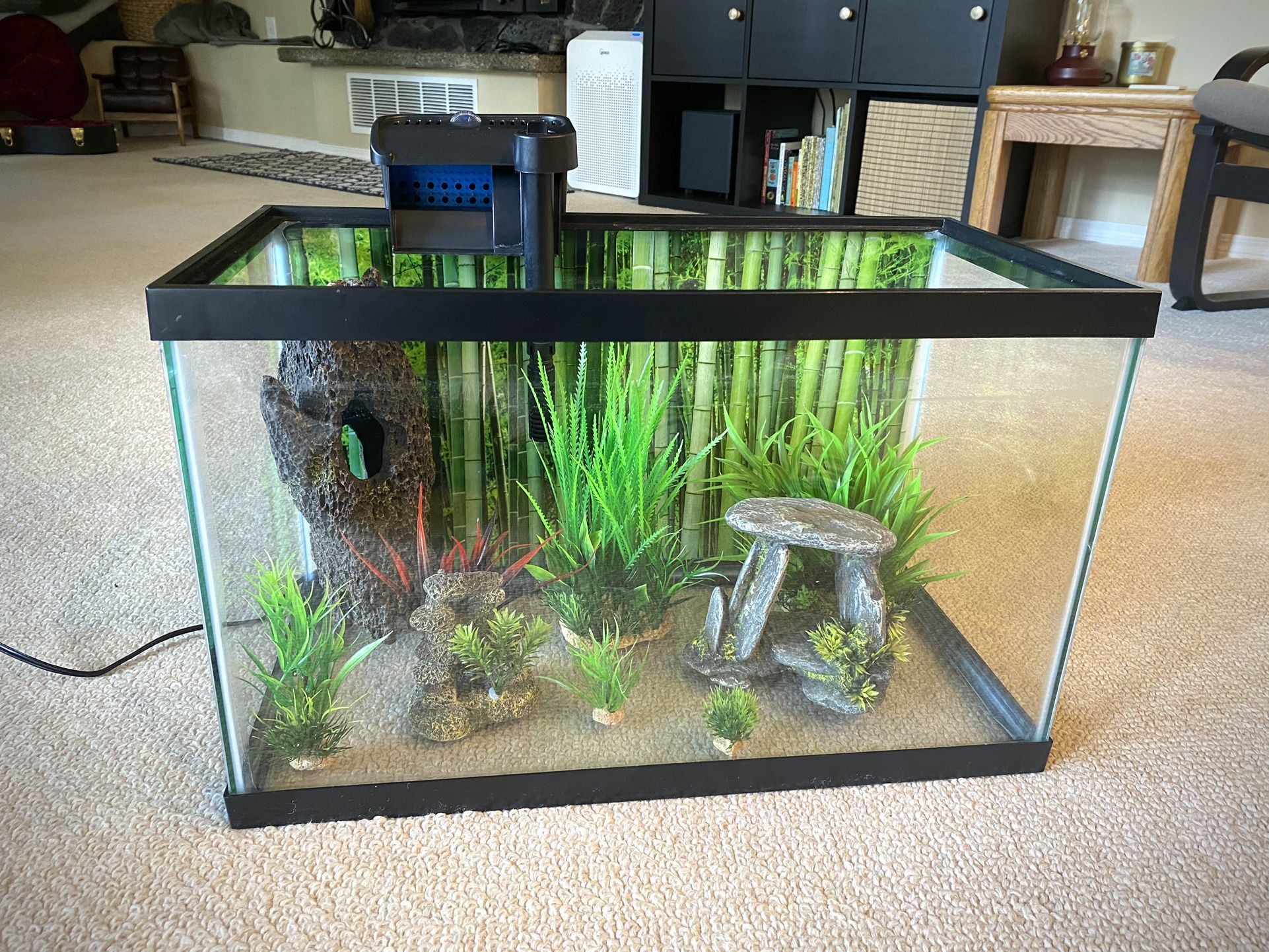 Fish Tank And Accessories