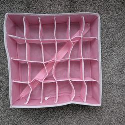 Pink Organizer