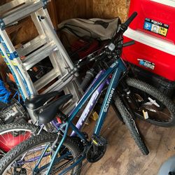 Bikes For Sale 