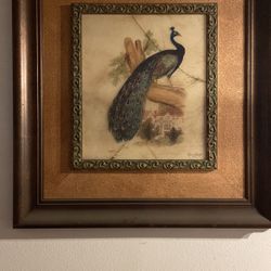 Art Work Collection