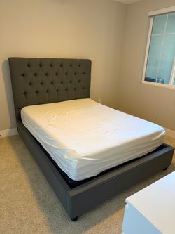 Living Spaces Queen Size Tufted Upholstered Bed Frame – Excellent Condition – $300 OBO