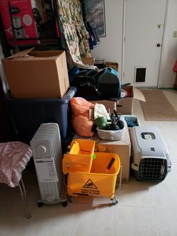 Cat carrier and more