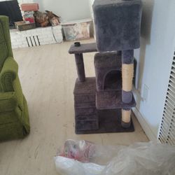 Cat Play House