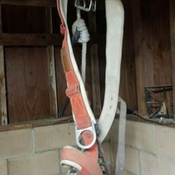 Climbing Harness
