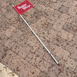 LED Lighted Buggy Whip Light Lights Teal 4 Foot Feet