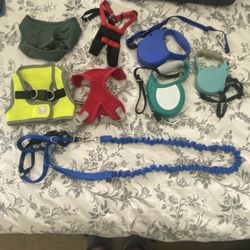 Small Dog Leash’s And Harness  Collection