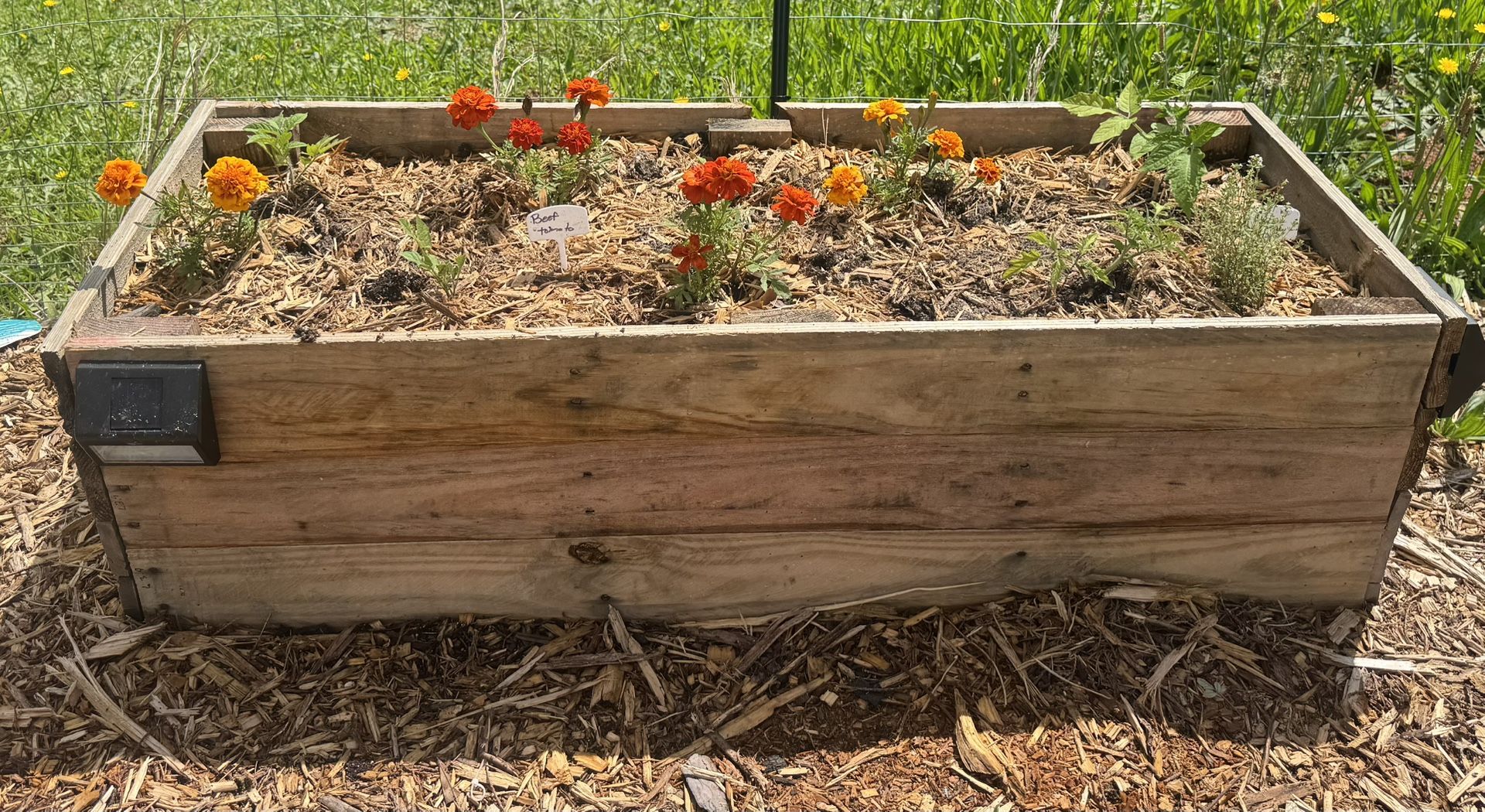 4ftx21in Raised Garden bed 
