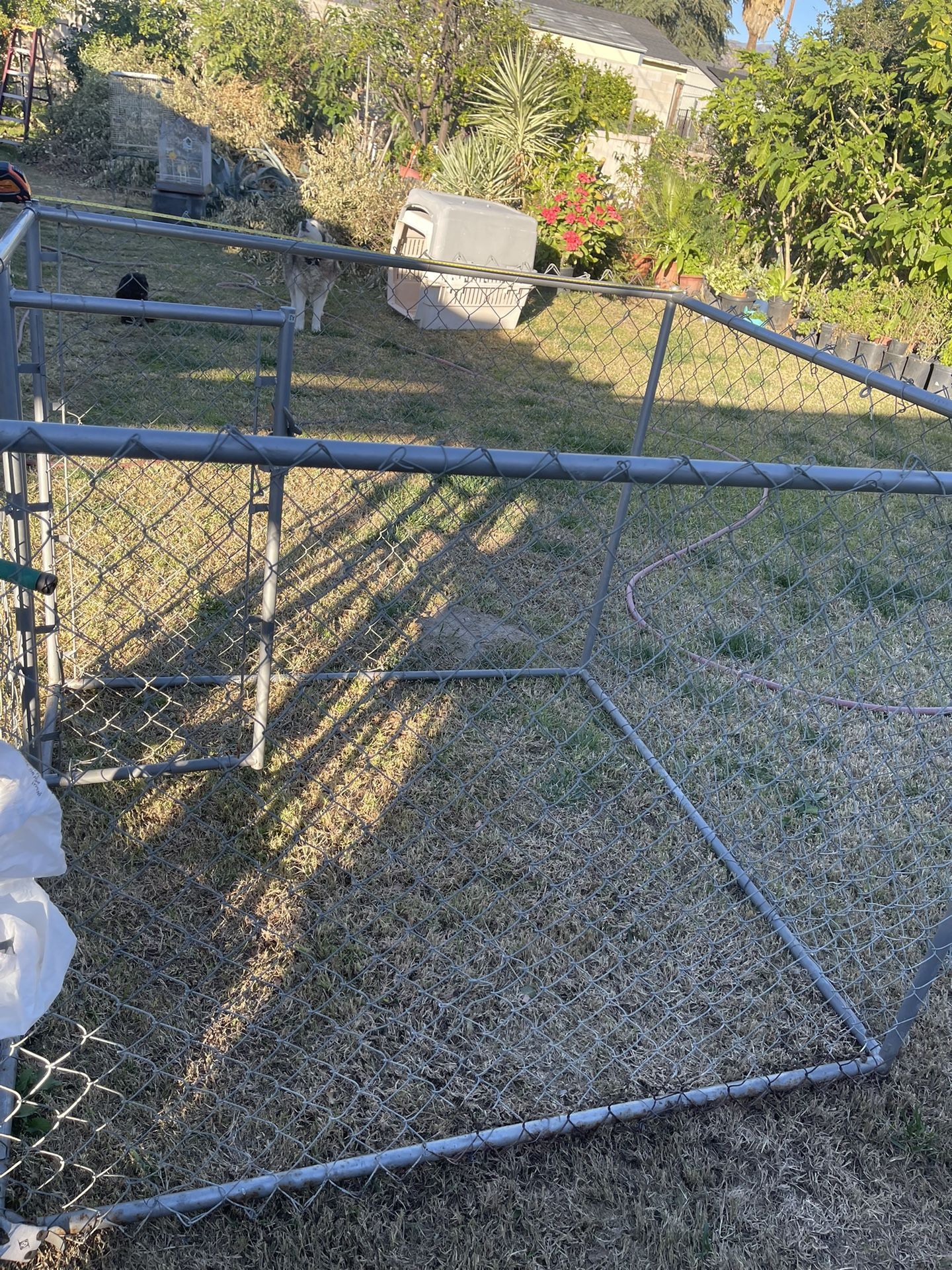 Dog Kennel Dog Chain Link Kennel