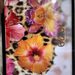 iPad 5th Generation 12.9 Inches 256 Gb