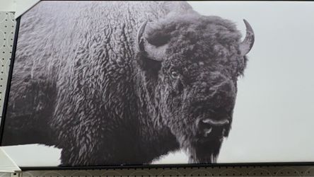 Frame wall canvases