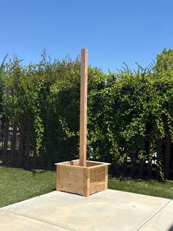 String light planter box