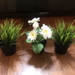 Artificial Plant
