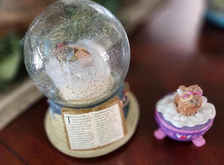 Yorkie Globe Music Box & Jewelry Box