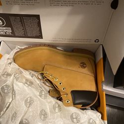Tim’s Size 11
