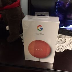 Google Nest Mini