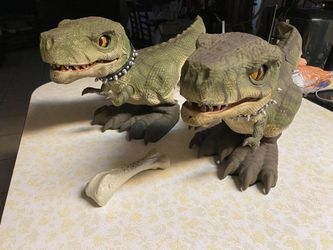 Remote Controlled Dinosaur Toys