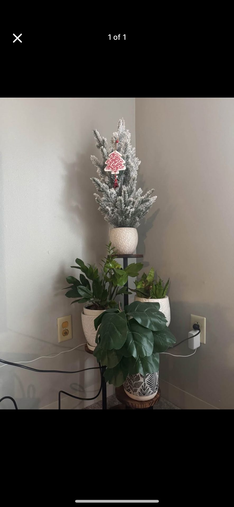 Plant Stand