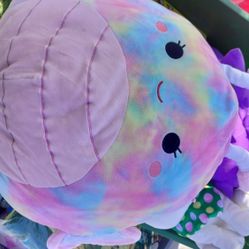 Squishmallow Rare