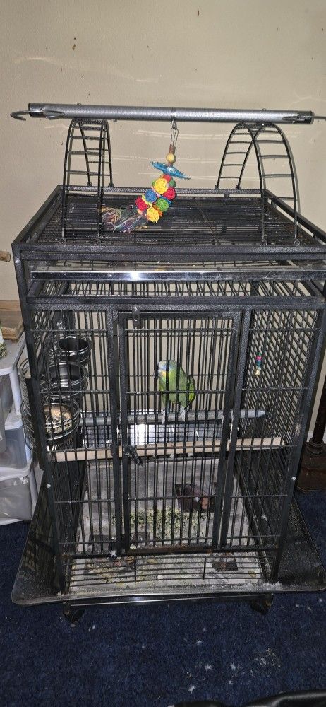 Bird Cage 