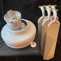 Ceiling Fan with light & 2Ft blades