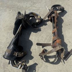 Spikes For Tree Trimmers / Pole Climbing 🧗‍♀️ 