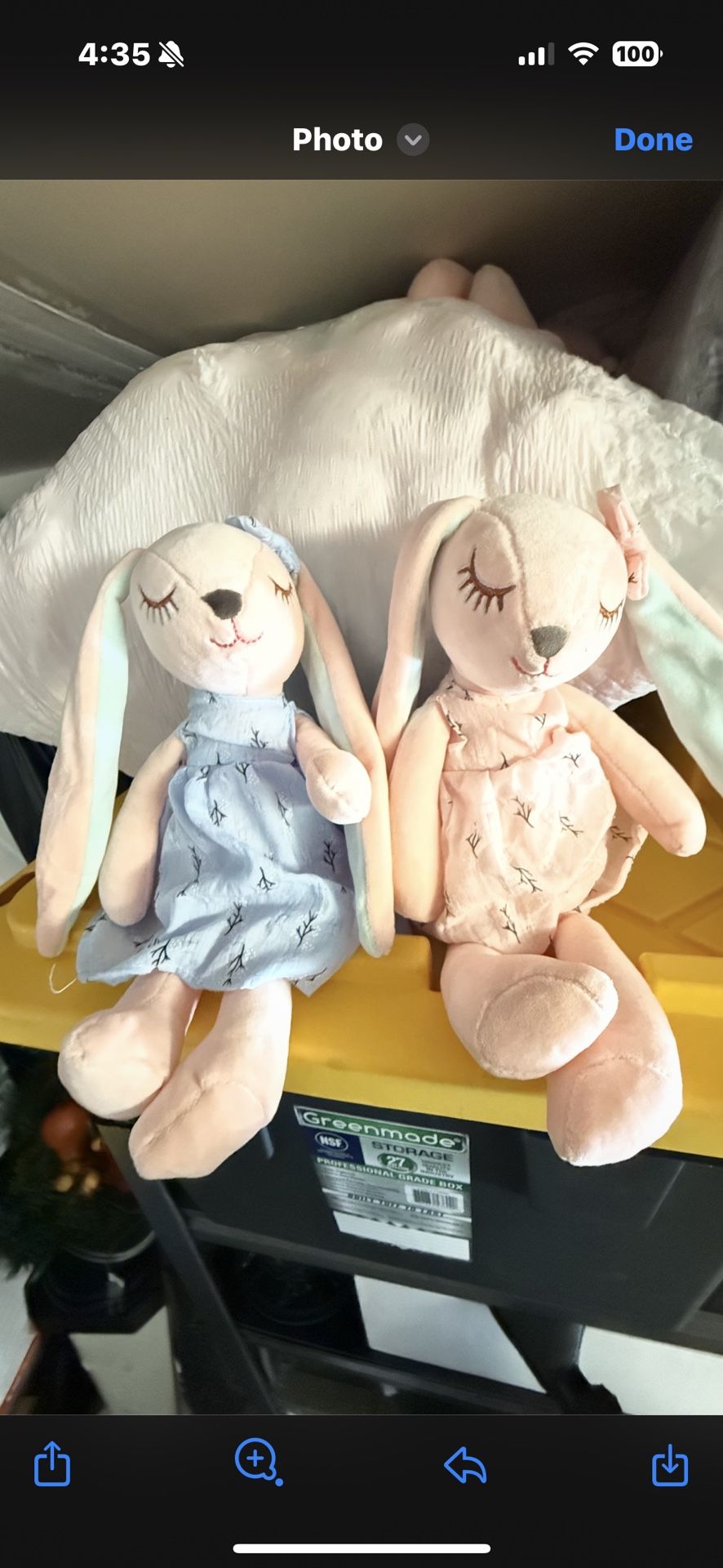 Small Bunny, Plush Toys, Eraser Stuffed Animal