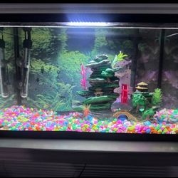 10 Gln Fish Tank