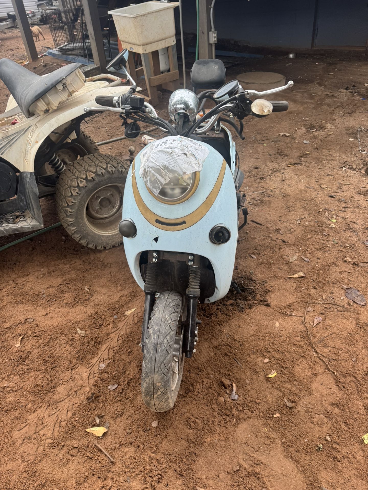 2019 Bint 50