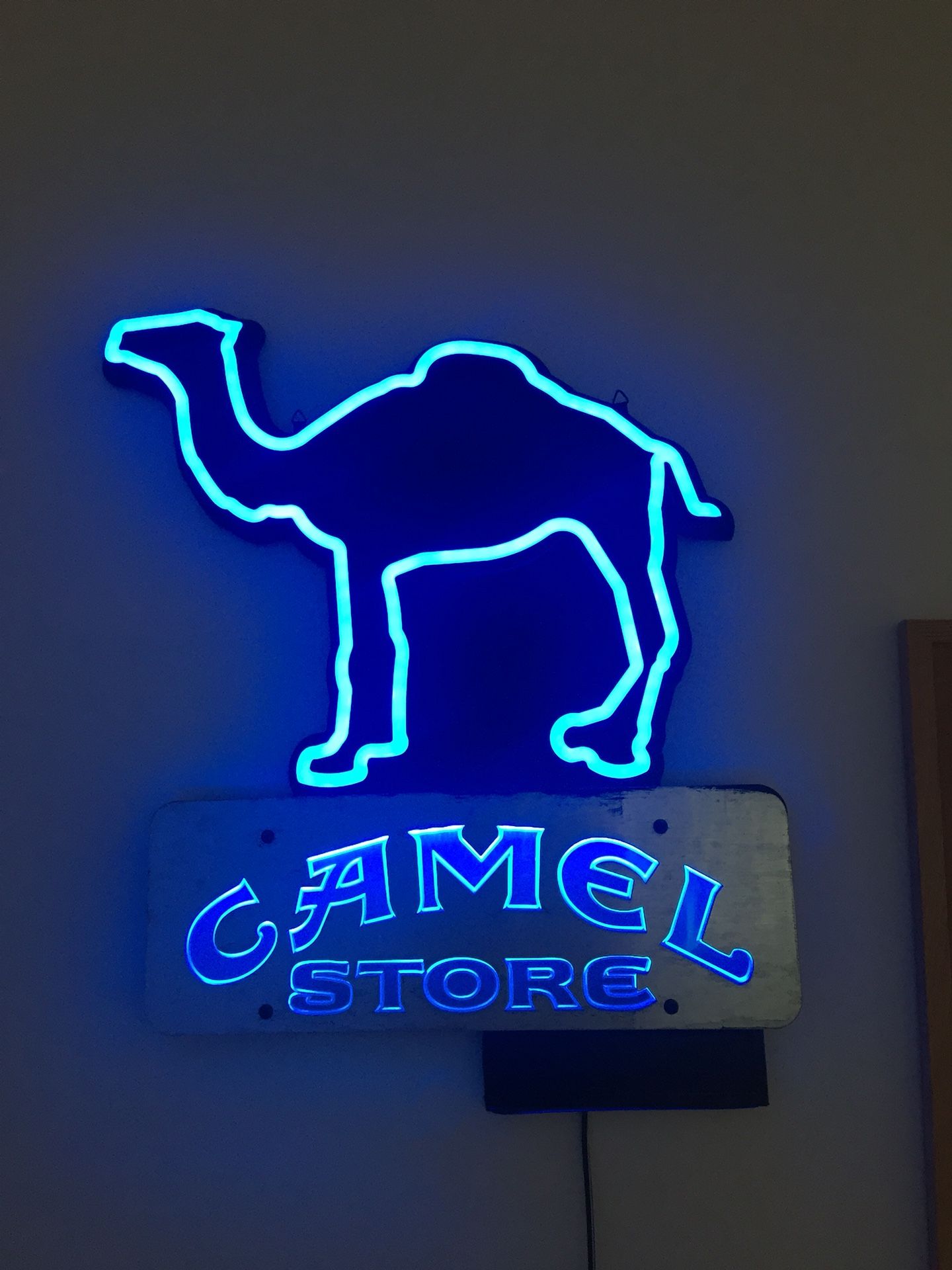 Neon Camel Sign