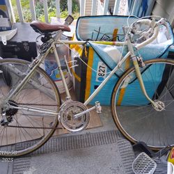 Old School 10 Speed Bike That Shifts