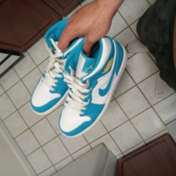 Air Jordand Size 12