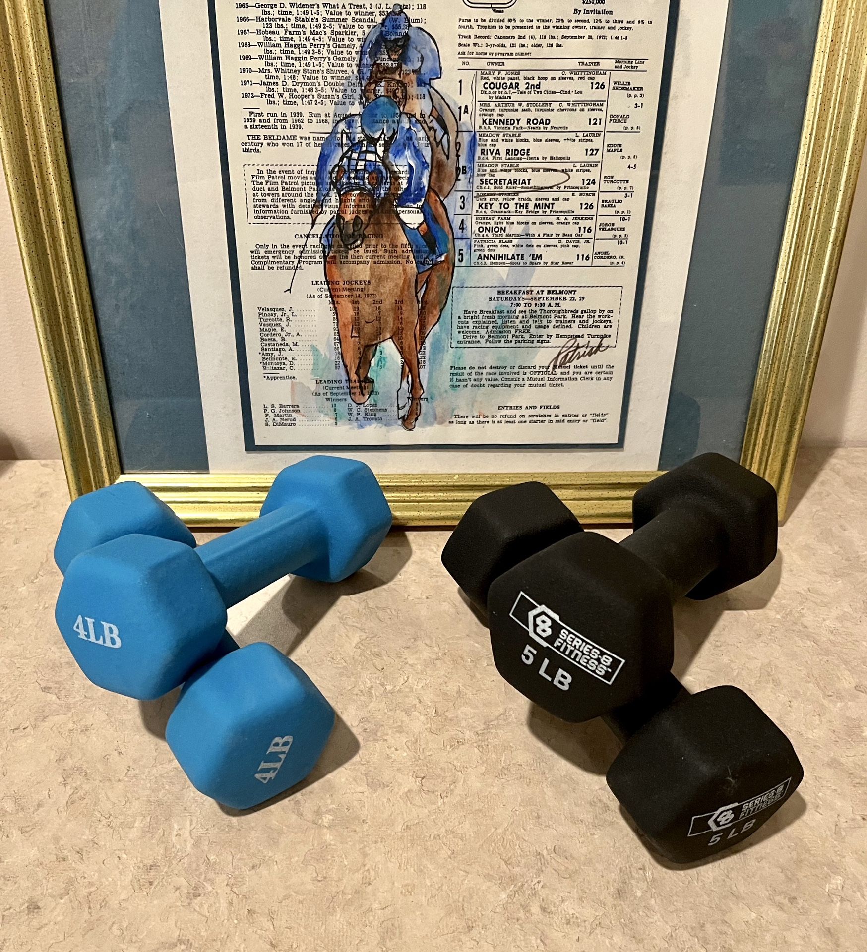 Two Sets of Dumbbell Weights – 4 Pounds & 5 Pounds