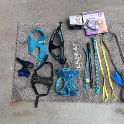 Dog Collars Harnesses Leashes And Wall Hooks 