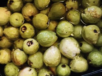 Fresh organic gawava