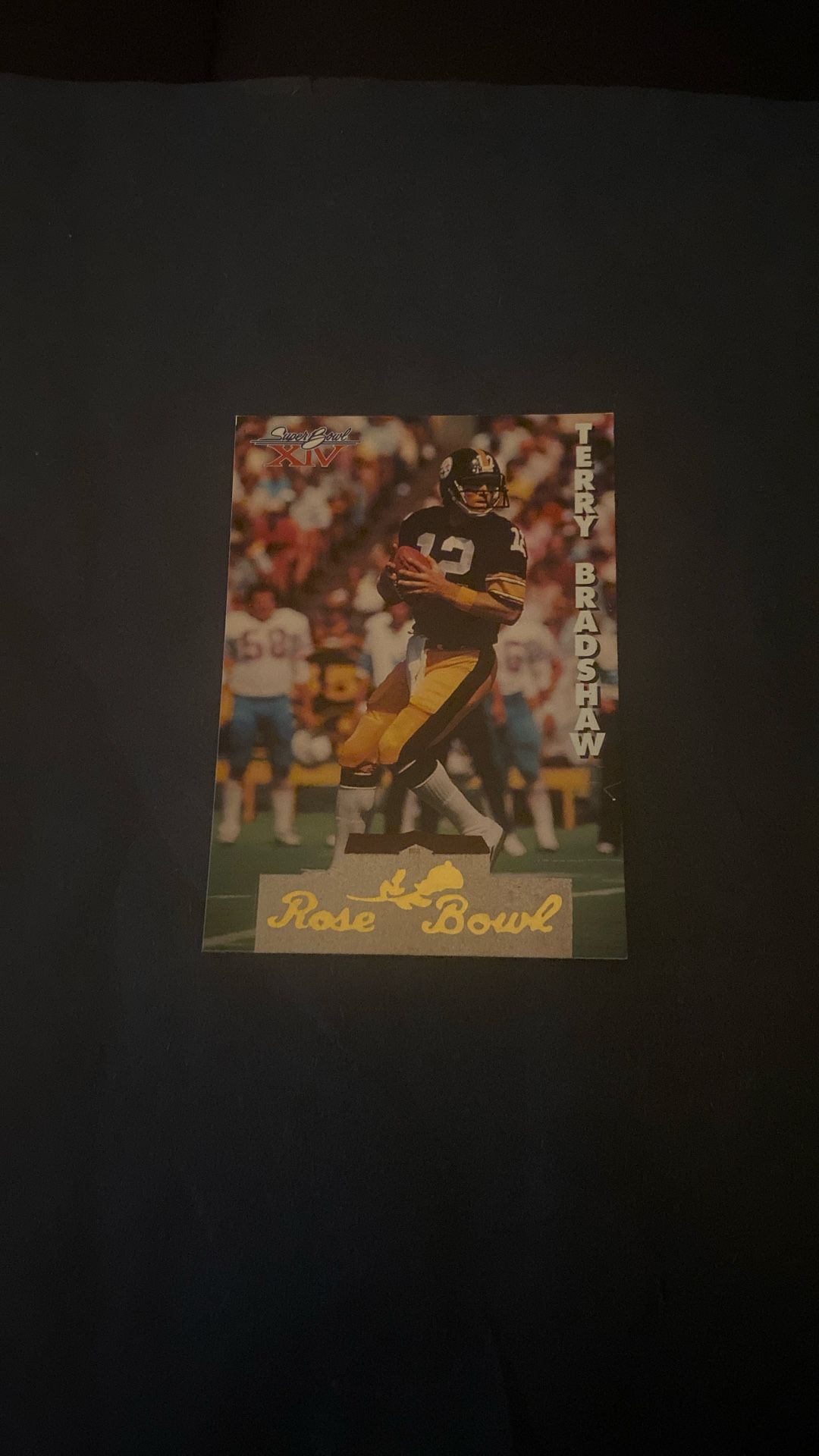 Terry Bradshaw 1993 Team NFL #SB8