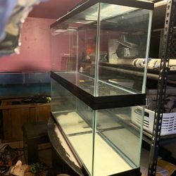 55 gallon fish tank aquarium, Terrarium, Saltwater, Pond 