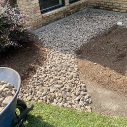 Grass Sn Agustine. Bermuda Y Zoysia 