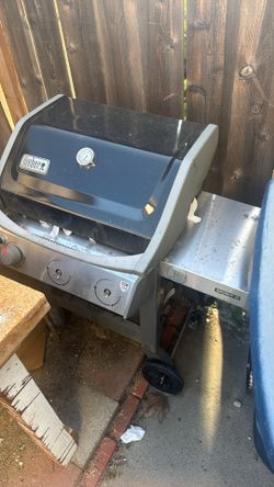Free Weber Grill