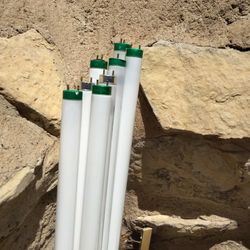 48" Thinline Flourescent Bulbs 8pcs