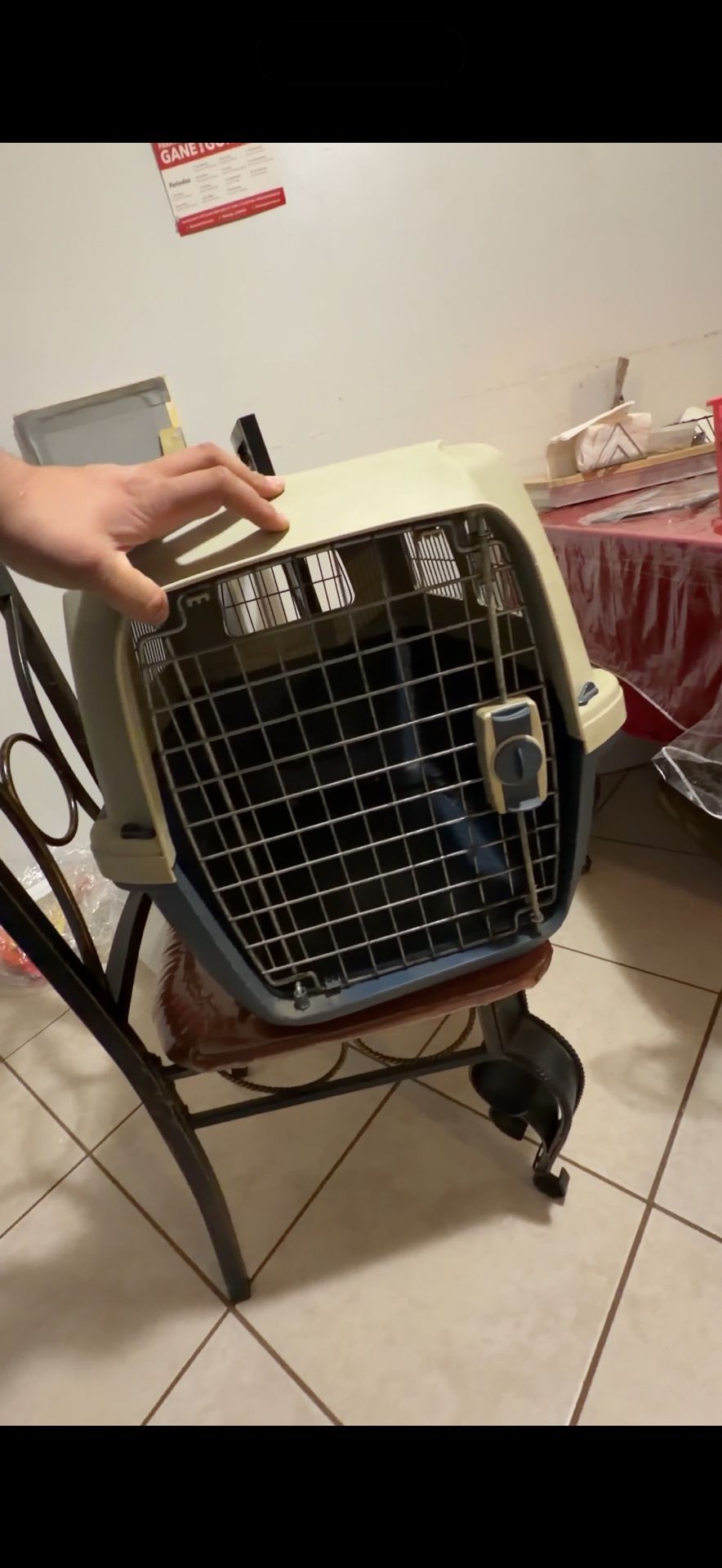 Dog Crate Used Clean Good Condition